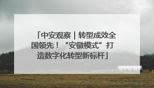 中安观察｜转型成效全国领先！“安徽模式”打造数字化转型新标杆